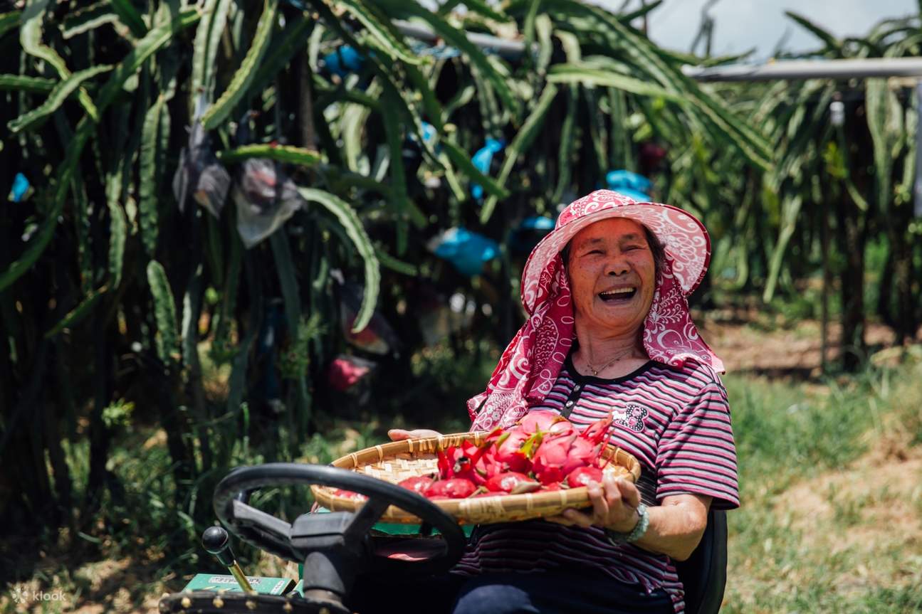과일 따기 공통 이용권